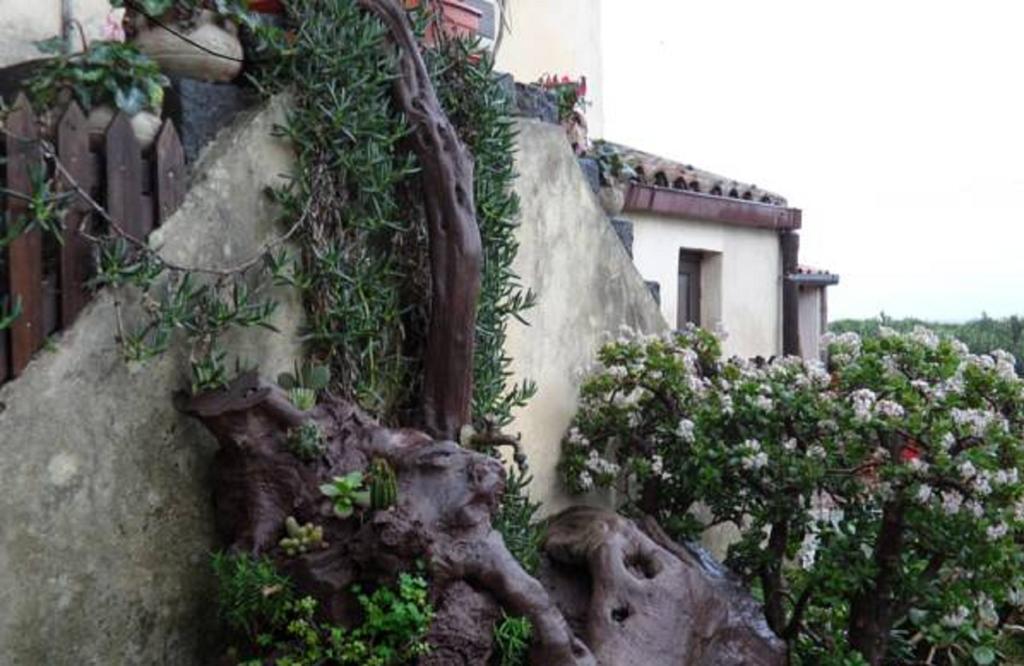 Agriturismo Ruvitello Misterbianco Chambre photo